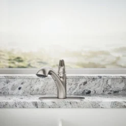 Pull-out kitchen sink faucet with two-function sprayhead