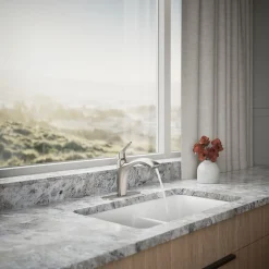 Pull-out kitchen sink faucet with two-function sprayhead
