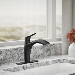Pull-out kitchen sink faucet with two-function sprayhead