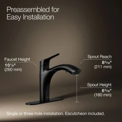Pull-out kitchen sink faucet with two-function sprayhead