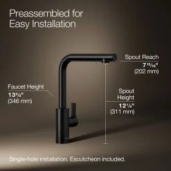 Pull-out kitchen sink faucet with two-function sprayhead