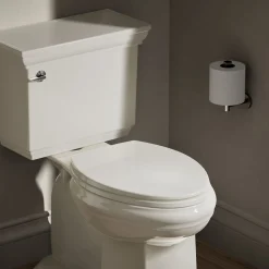 Quick-Release™ elongated toilet seat