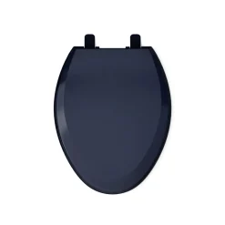 Quick-Release™ elongated toilet seat