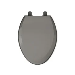 Quick-Release™ elongated toilet seat