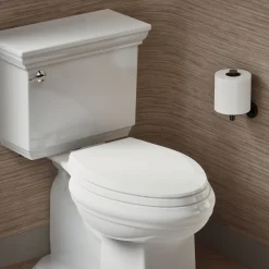 Quick-Release™ elongated toilet seat