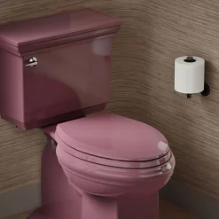 Quick-Release™ elongated toilet seat