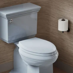 Quick-Release™ elongated toilet seat