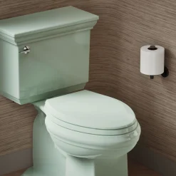 Quick-Release™ elongated toilet seat