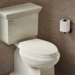 Quick-Release™ elongated toilet seat