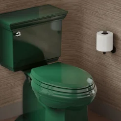Quick-Release™ elongated toilet seat