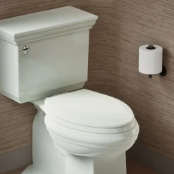 Quick-Release™ elongated toilet seat