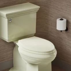 Quick-Release™ elongated toilet seat