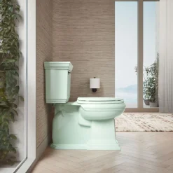 Quick-Release™ elongated toilet seat