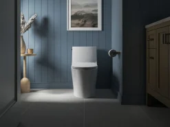 Quiet-Close™ elongated toilet seat