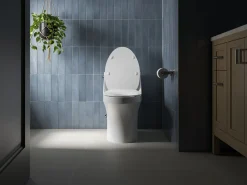 Quiet-Close™ elongated toilet seat