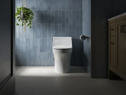 Quiet-Close™ elongated toilet seat