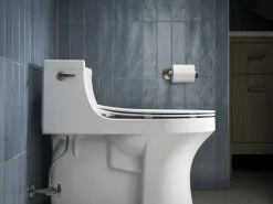 Quiet-Close™ elongated toilet seat