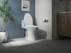 Quiet-Close™ elongated toilet seat