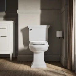 Quiet-Close™ elongated toilet seat