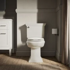 Quiet-Close™ elongated toilet seat