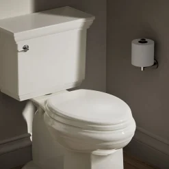 Quiet-Close™ elongated toilet seat