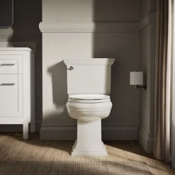 Quiet-Close™ elongated toilet seat
