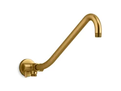 Rainhead arm with 2-way diverter