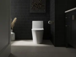 ReadyLatch® Quiet-Close™ elongated toilet seat