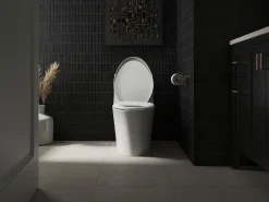 ReadyLatch® Quiet-Close™ elongated toilet seat