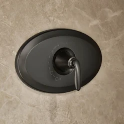 Remodel Rite-Temp® shower trim kit, 1.75 gpm