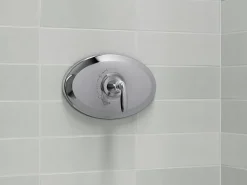Remodel Rite-Temp® valve trim