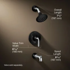 Rite-Temp® bath and shower trim kit, 2.5 gpm