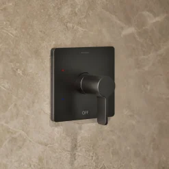 Rite-Temp® shower trim kit, 2.5 gpm
