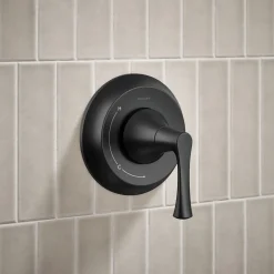 Rite-Temp® shower trim kit, without showerhead