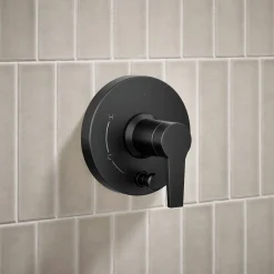 Rite-Temp® shower trim kit with push-button diverter, 2.5 gpm