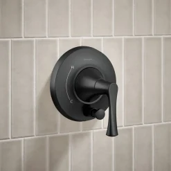 Rite-Temp® shower trim kit with push-button diverter, 2.5 gpm