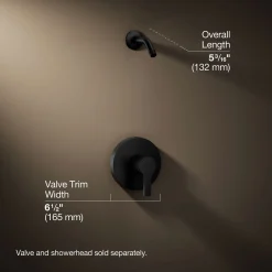 Rite-Temp® shower trim kit, without showerhead