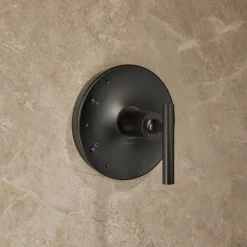 Rite-Temp® shower trim kit with lever handle, 2.5 gpm