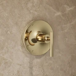 Rite-Temp® shower trim kit with lever handle, 2.5 gpm
