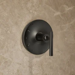 Rite-Temp® shower trim kit with lever handle, 1.75 gpm