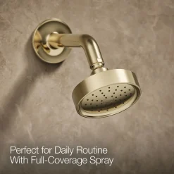 Rite-Temp® shower trim kit with lever handle, 1.75 gpm