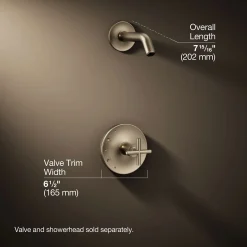 Rite-Temp® shower trim kit with cross handle, without showerhead