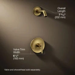 Rite-Temp® shower trim kit with lever handle, without showerhead