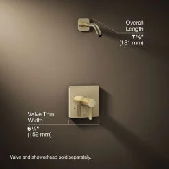 Rite-Temp® shower trim kit, without showerhead