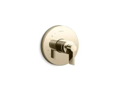 Rite-Temp® valve trim with Lever handle