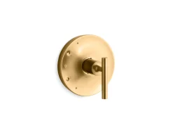 Rite-Temp® valve trim with lever handle