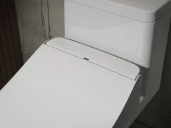 Round-front bidet toilet seat with remote control