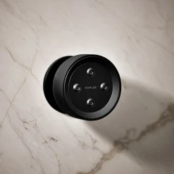 Round single-function body spray, 2.5 gpm