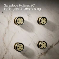Round single-function body spray, 2.5 gpm