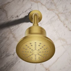 Round single-function filtered showerhead, 1.75 gpm